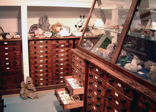 The original interior of the Gregory, Bottley and Lloyd fossil and minerals business, the stock, fixtures and fittings of which will be dispersed by Canterbury Auction Galleries in June.